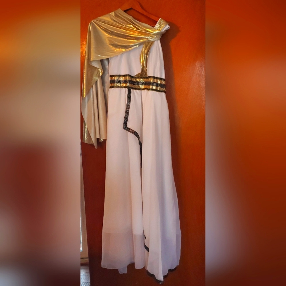 Greek Goddess Hallowe'en Gown, Size Adult Extra Large